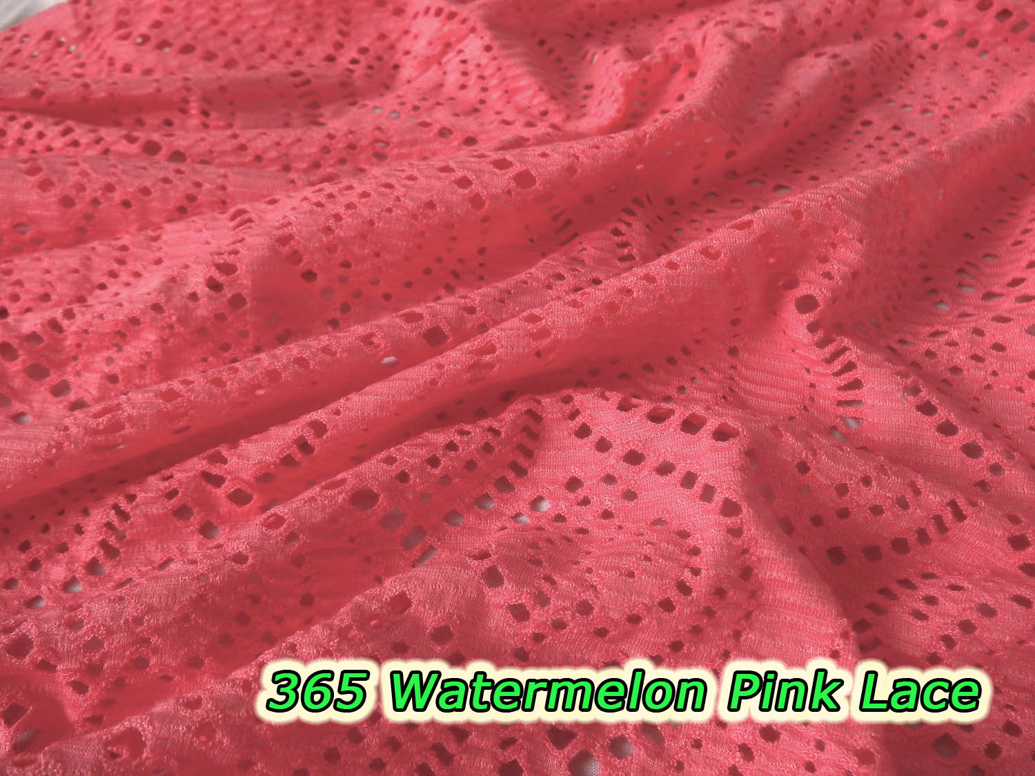 365 Watermelon Pink Lace