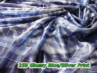 259 Glossy Blue/Silver Print